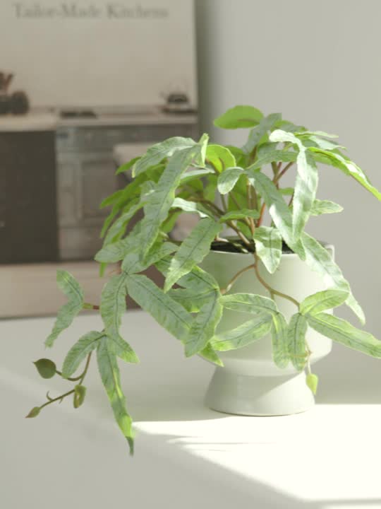 Искусственное растение OLSEN Ø9x20 в горшке